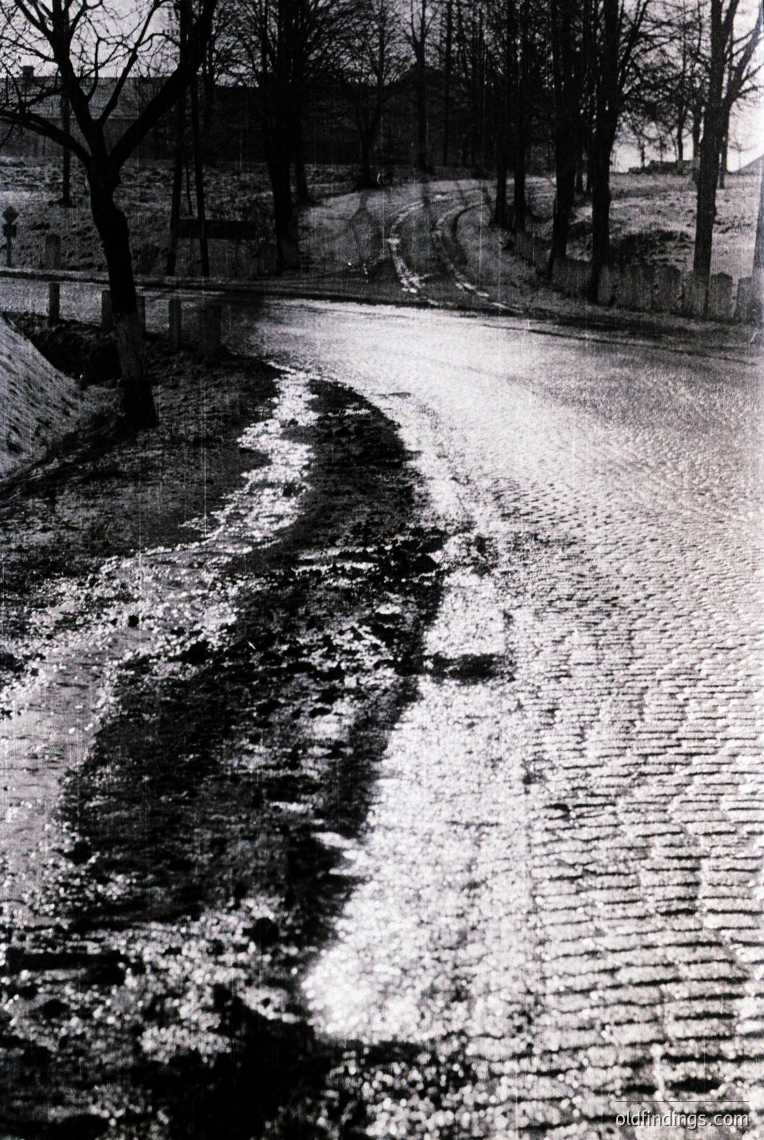 Vintage photograph