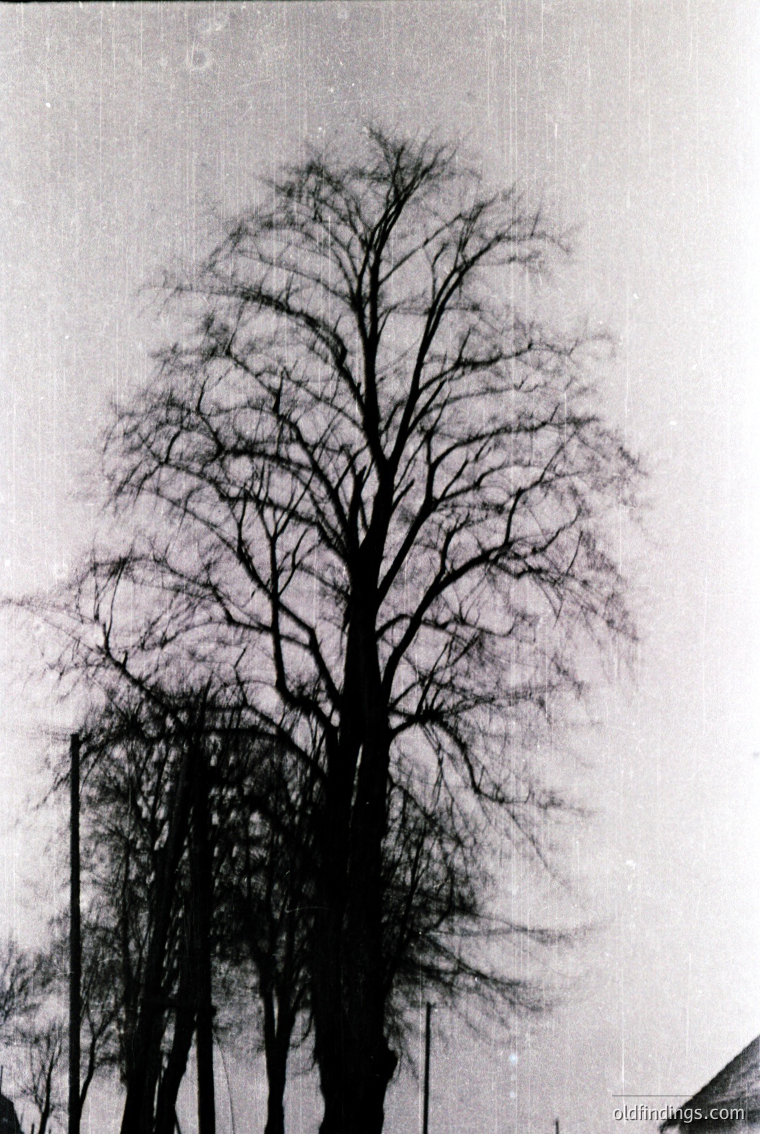 Vintage photograph