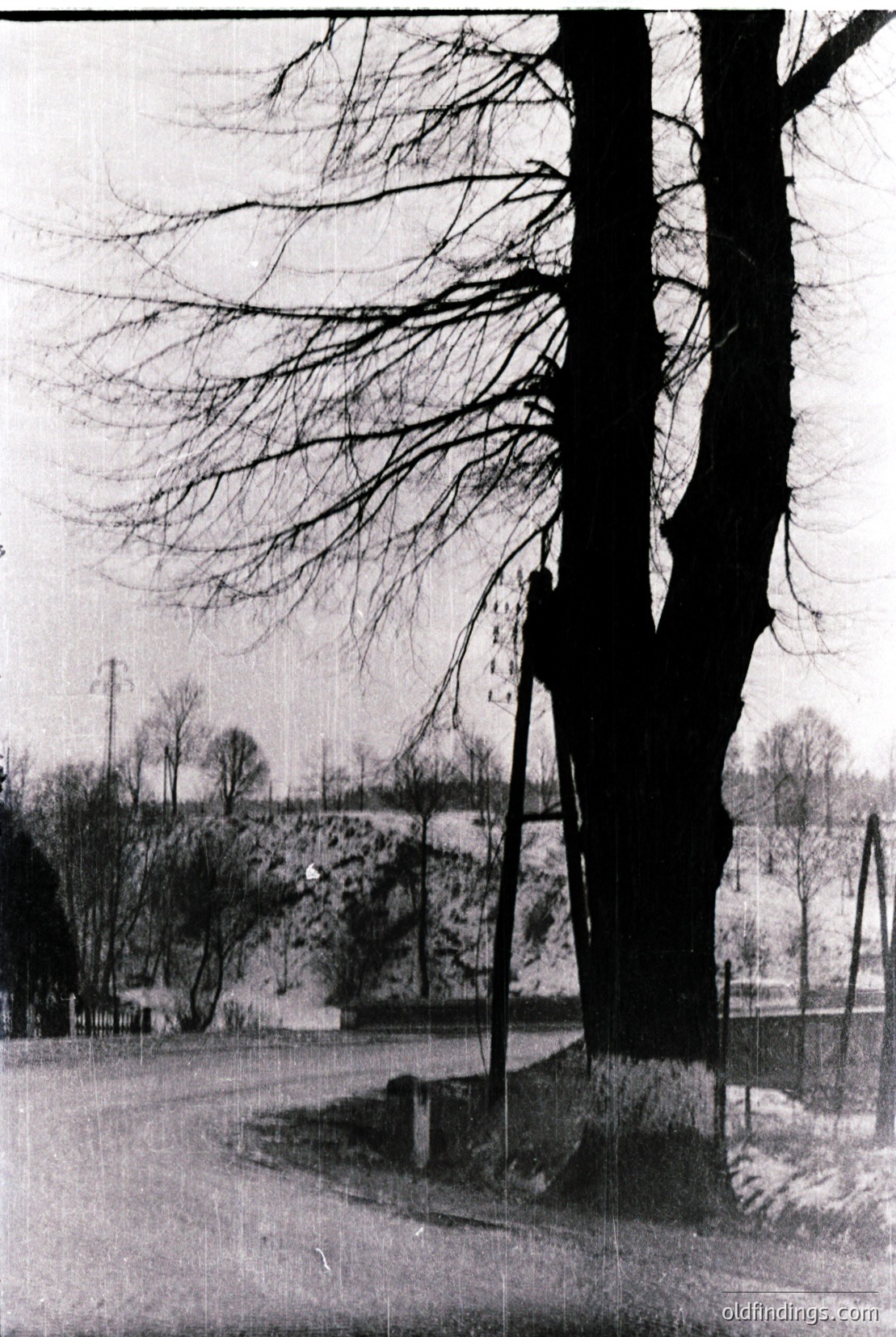 Vintage photograph