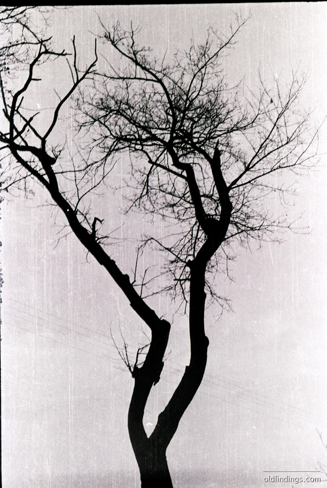 Vintage photograph