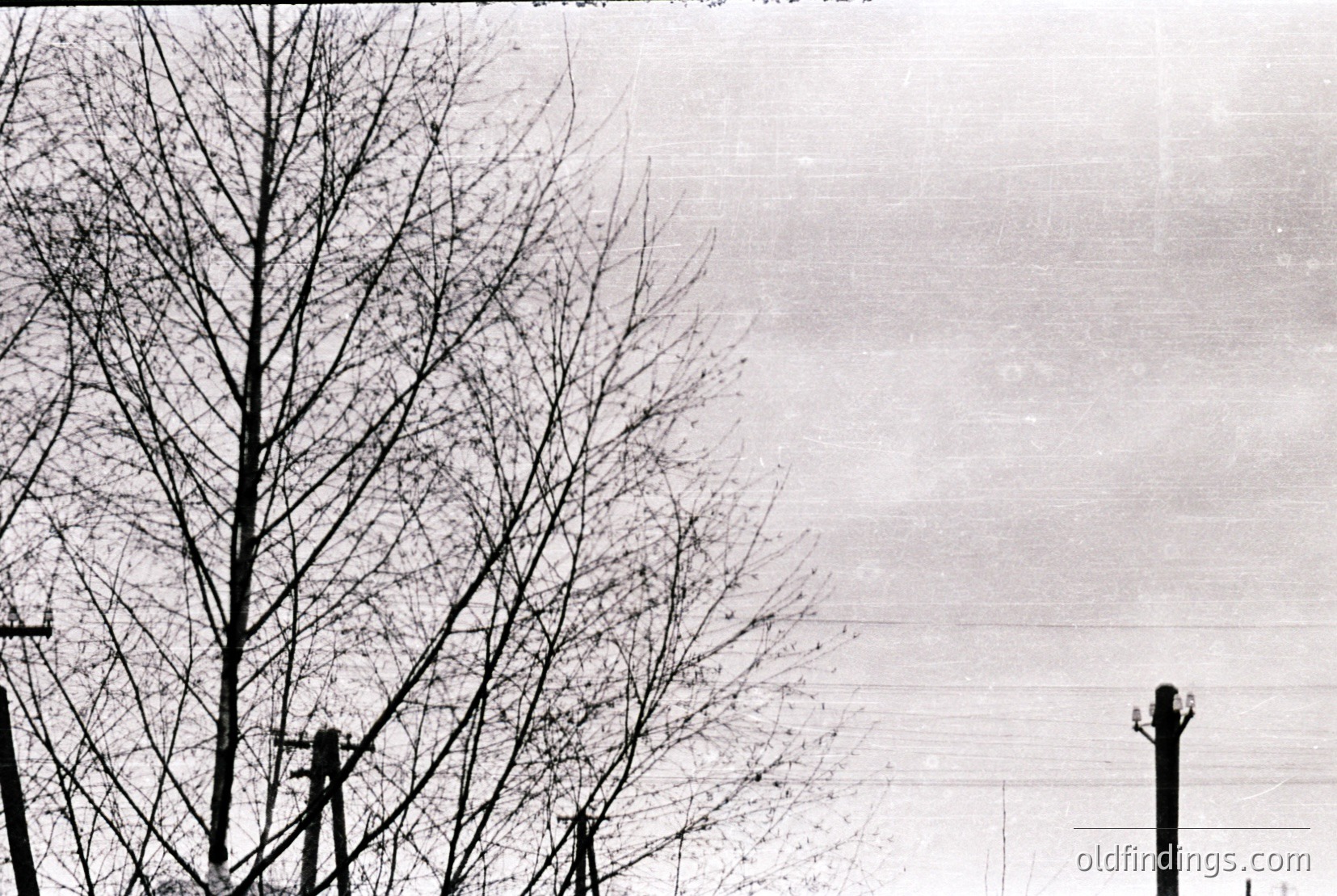 Vintage photograph