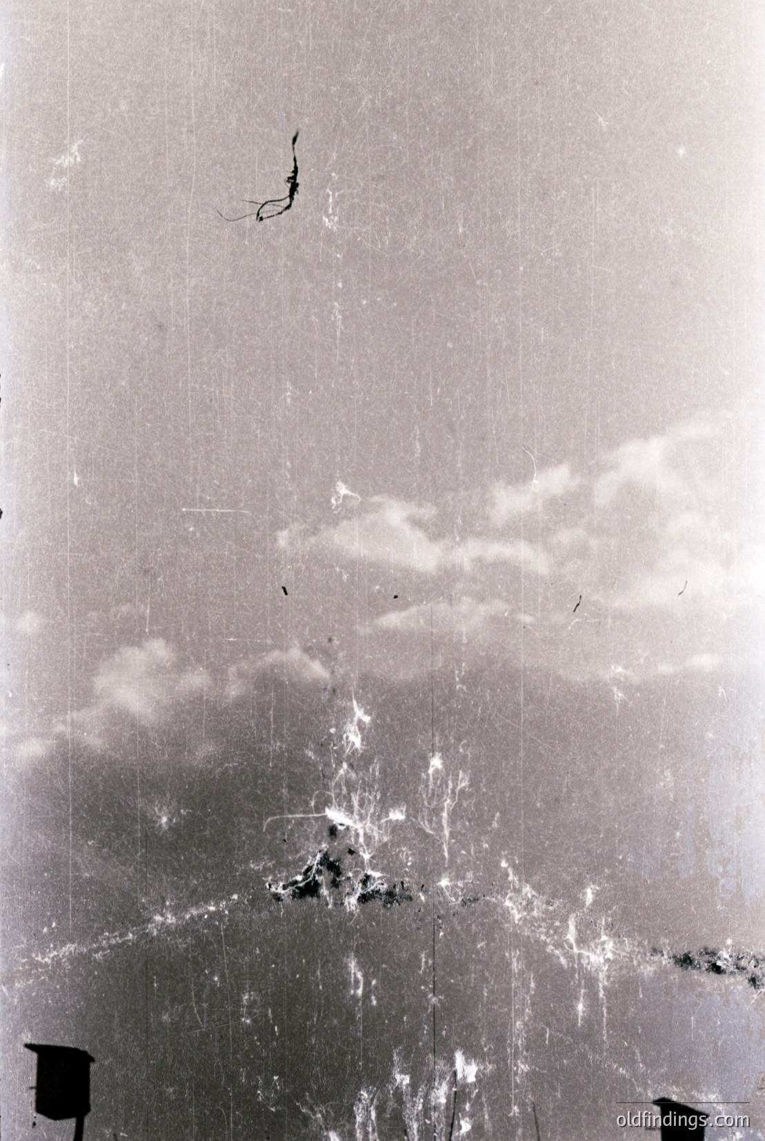 Vintage photograph