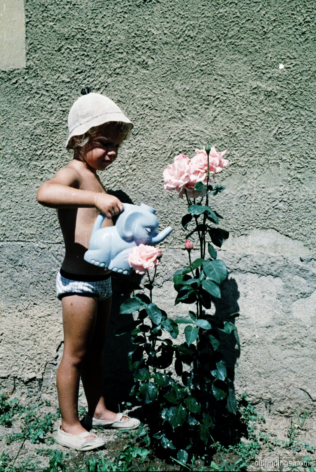 Vintage photograph