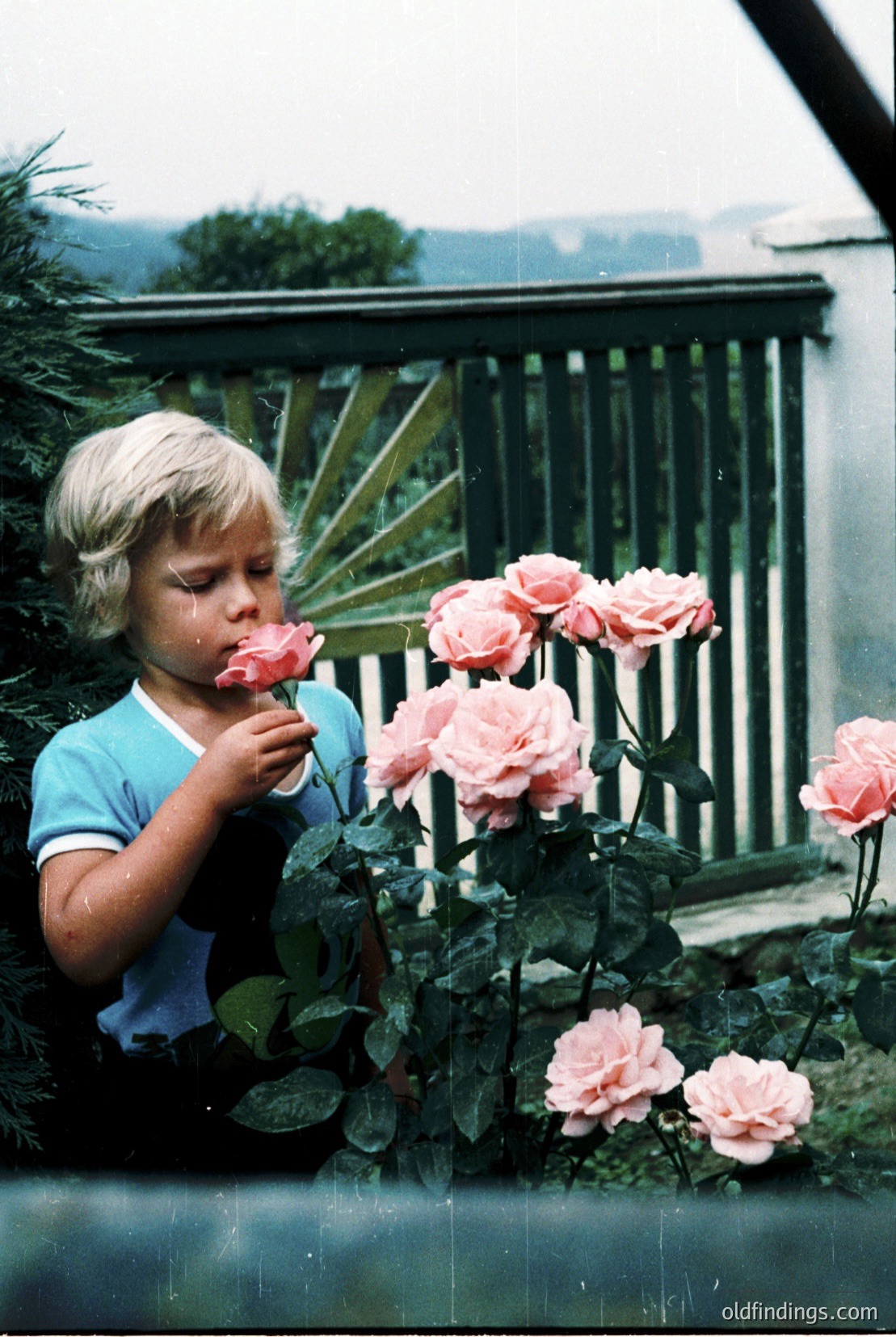 Vintage photograph