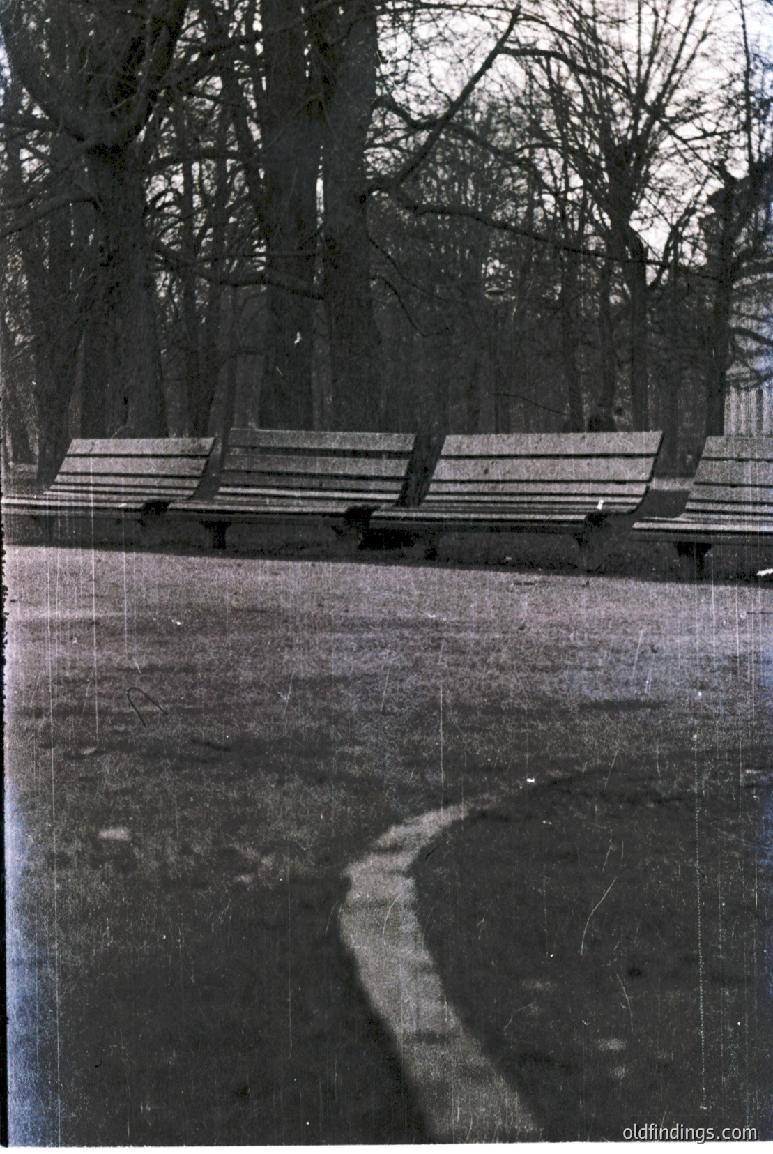 Vintage photograph