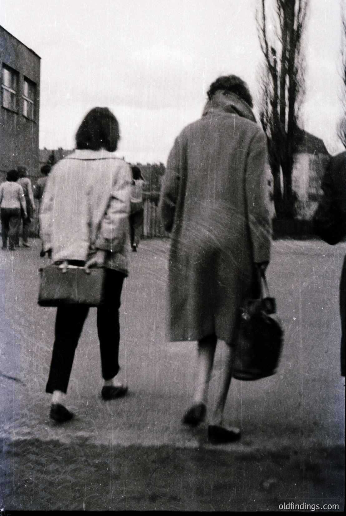 Vintage photograph