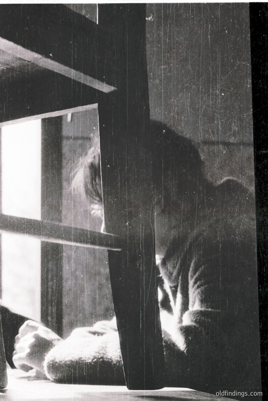 Vintage photograph