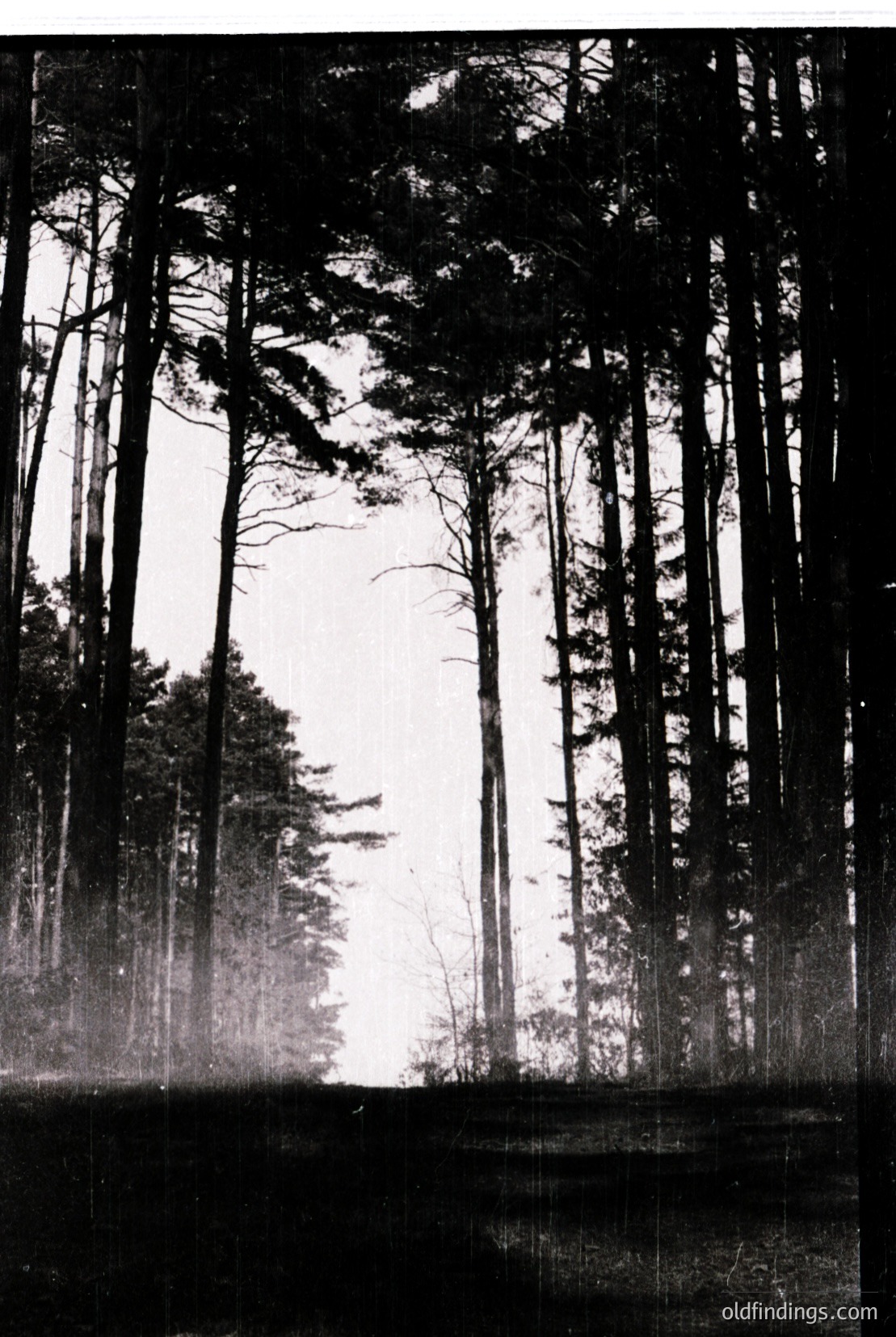 Vintage photograph