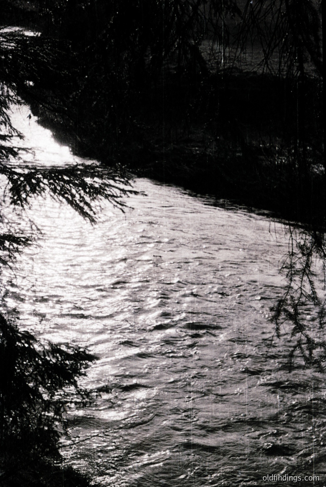 Vintage photograph