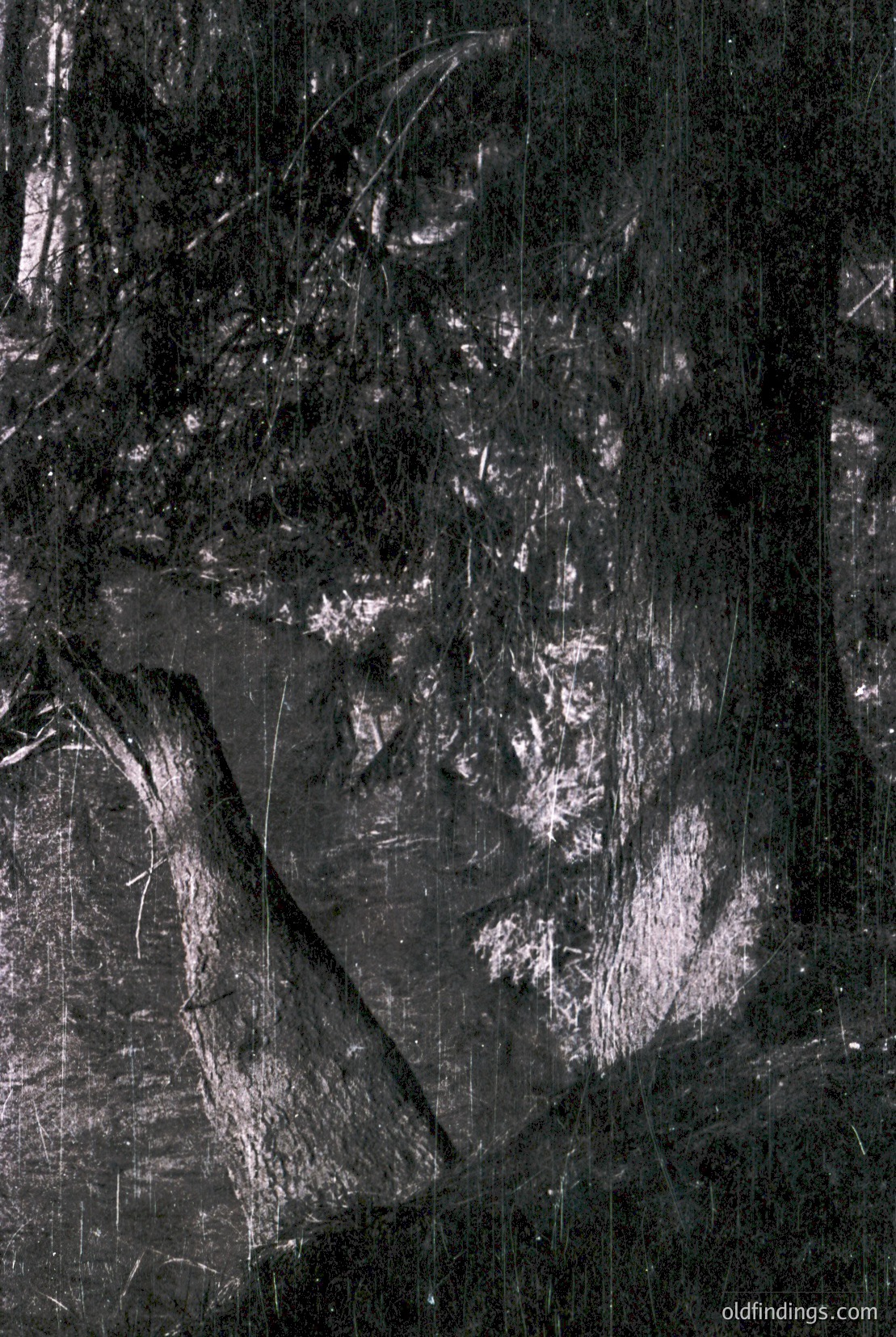 Vintage photograph