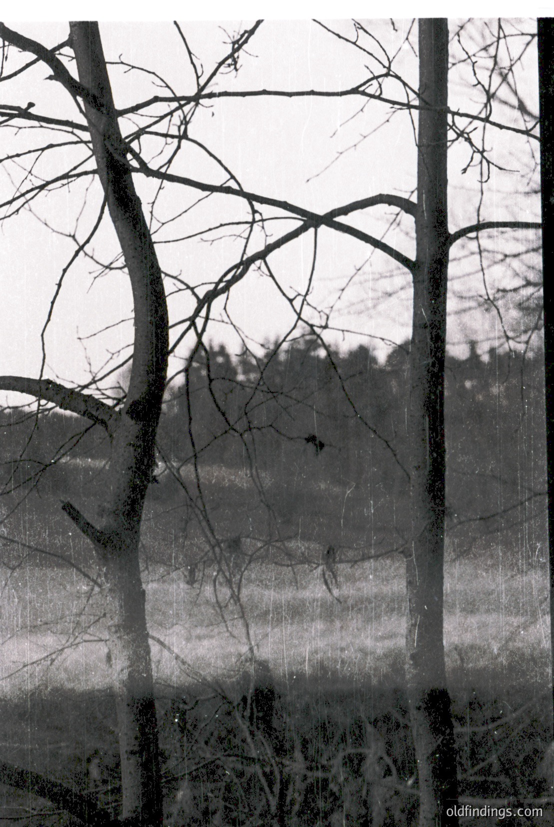 Vintage photograph
