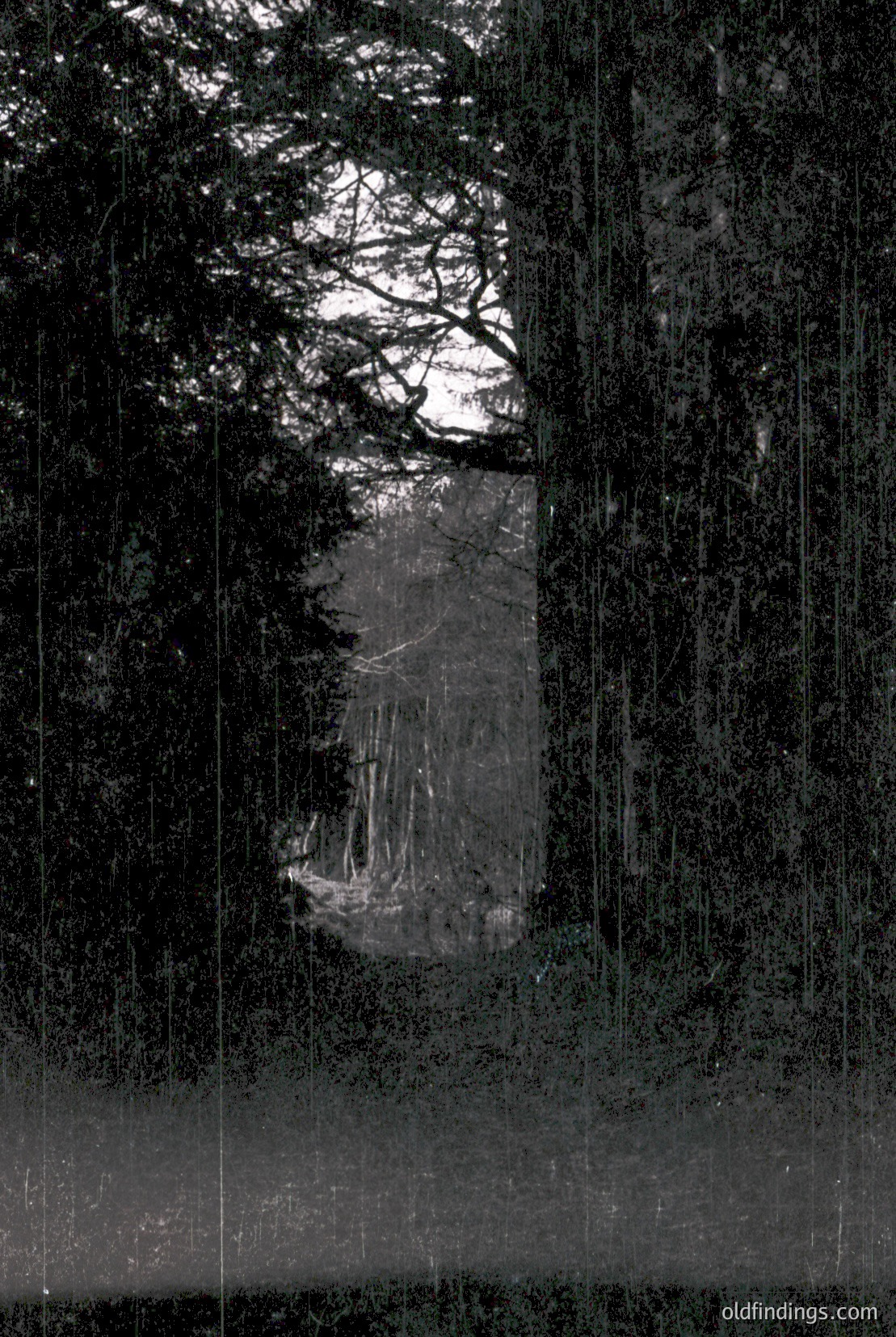 Vintage photograph