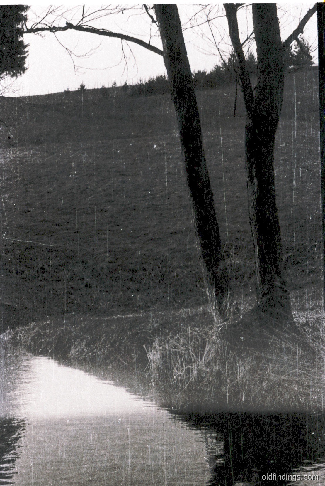 Vintage photograph