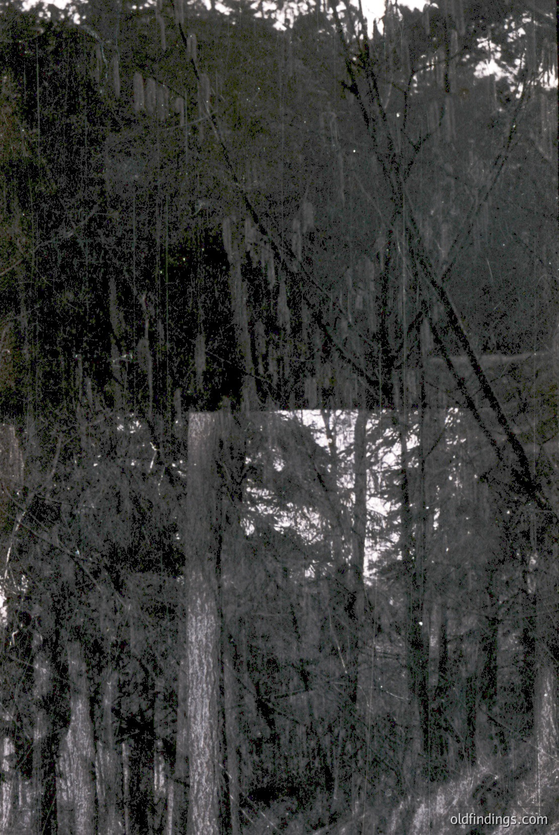 Vintage photograph