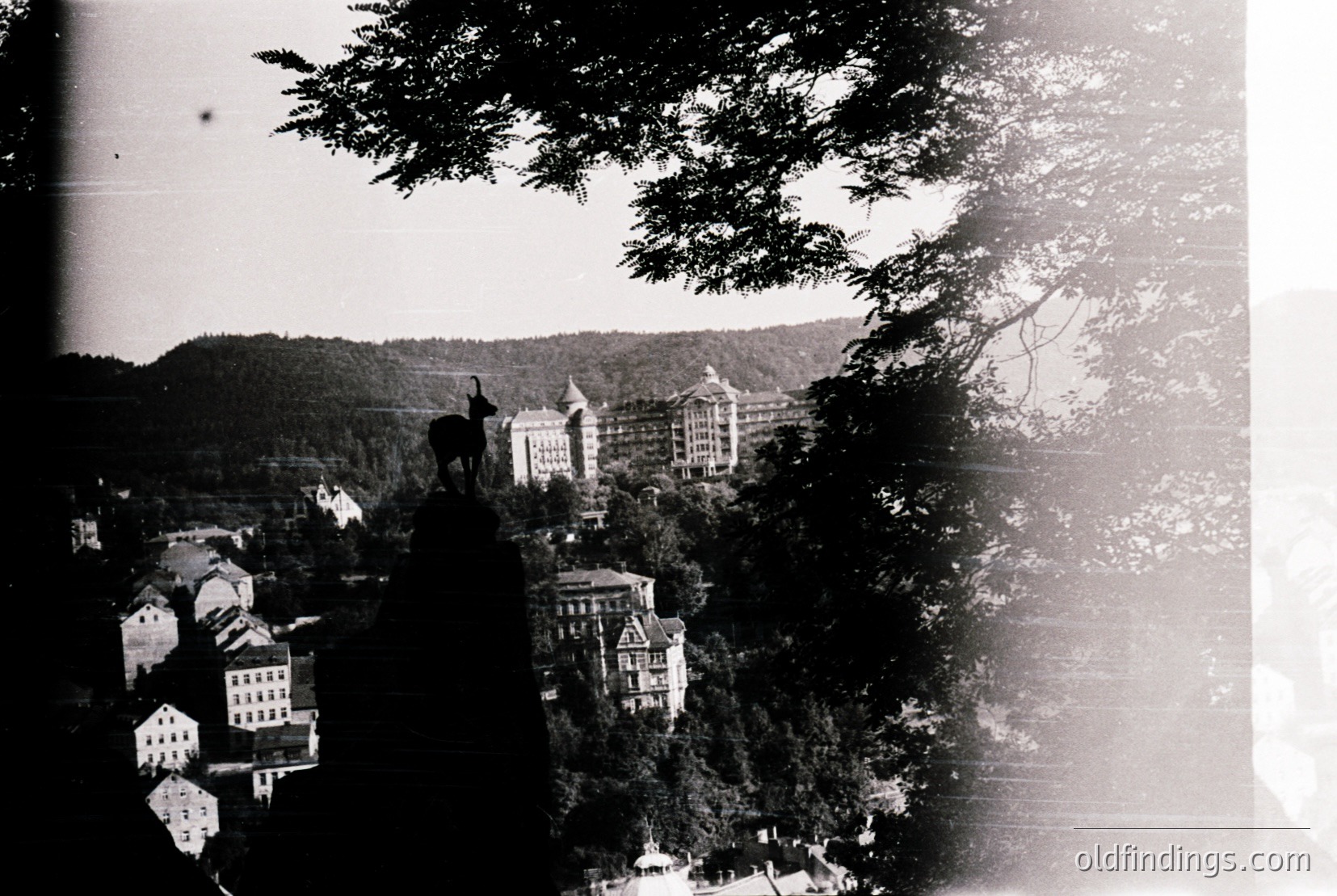 Vintage photograph
