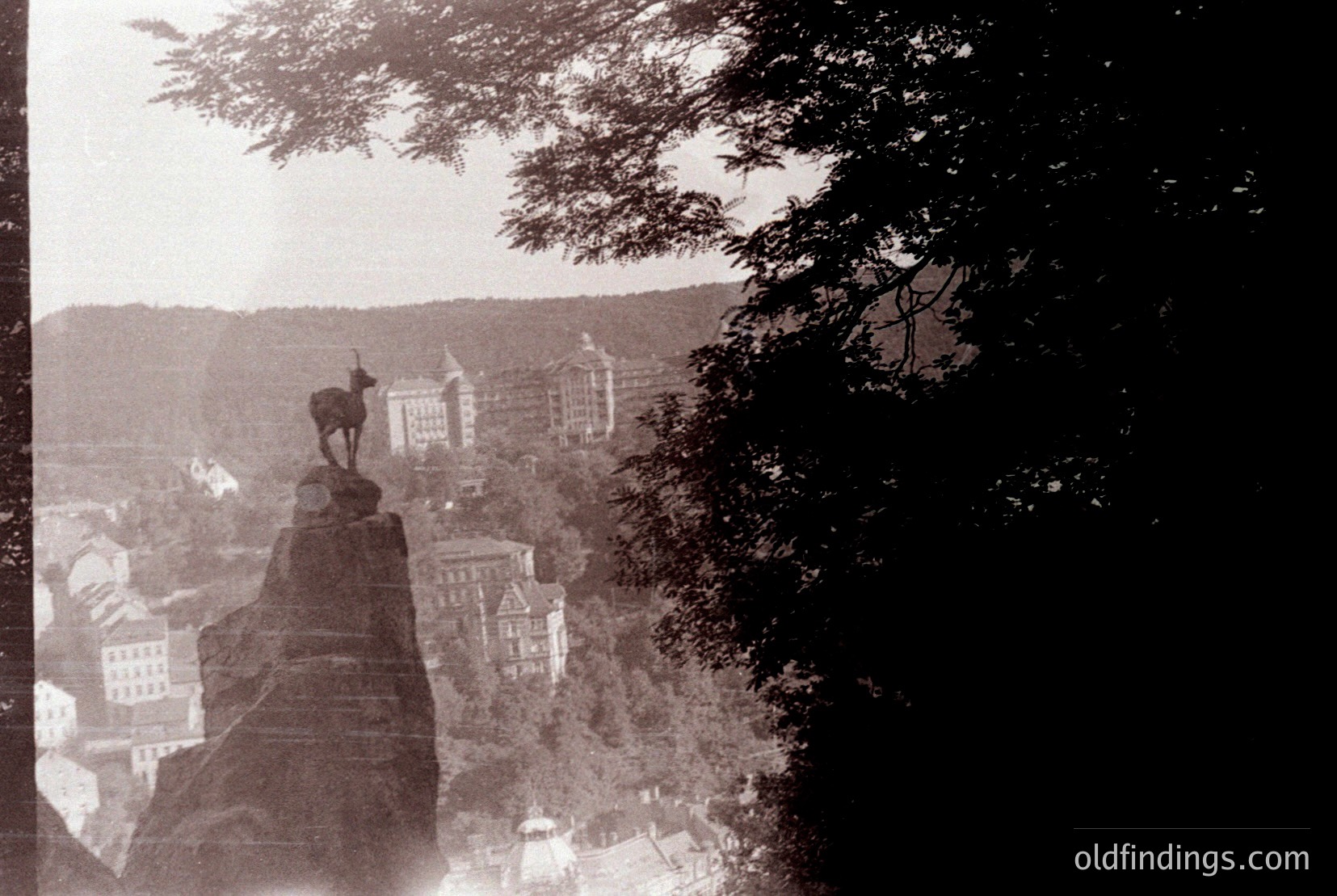 Vintage photograph