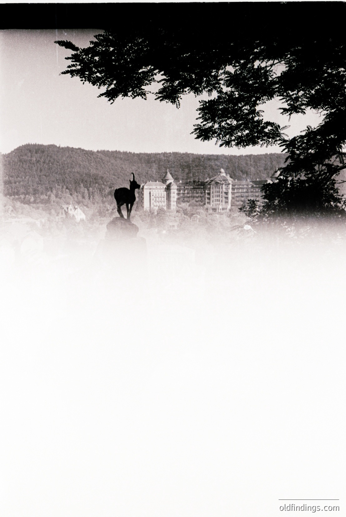 Vintage photograph