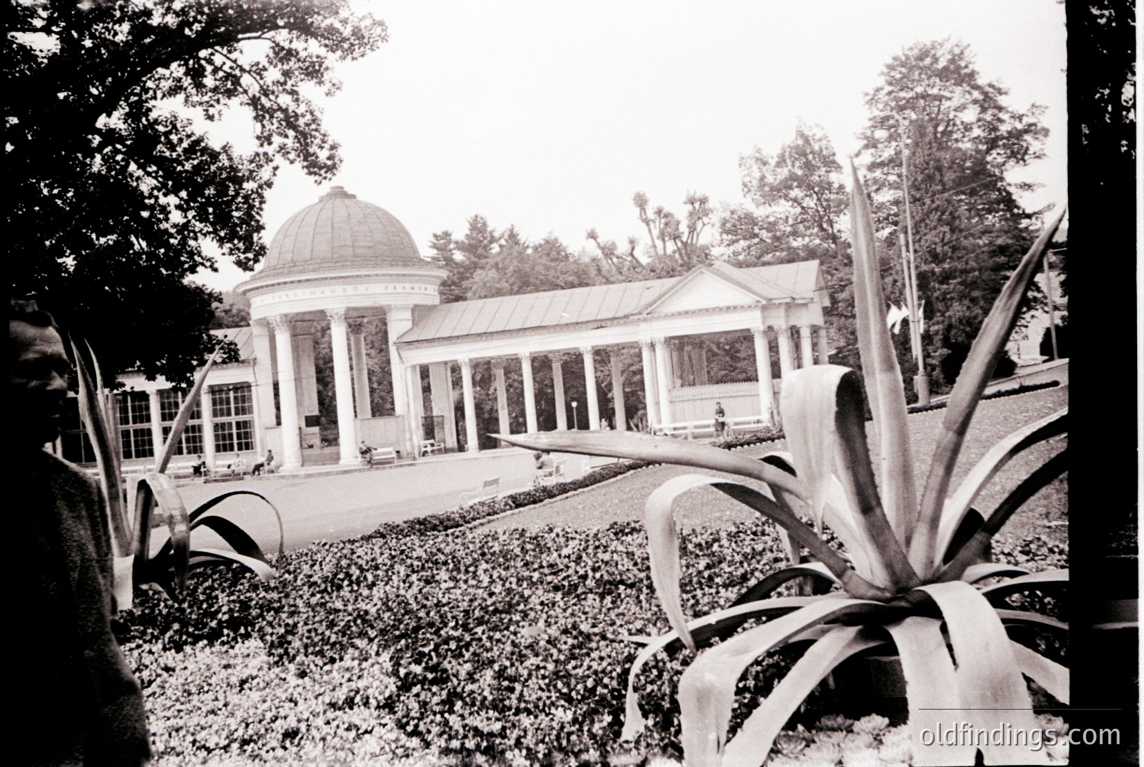 Vintage photograph