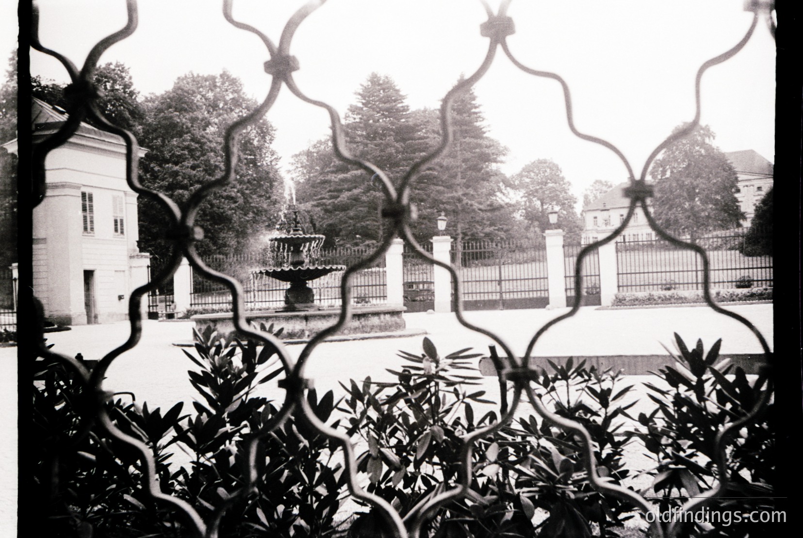 Vintage photograph