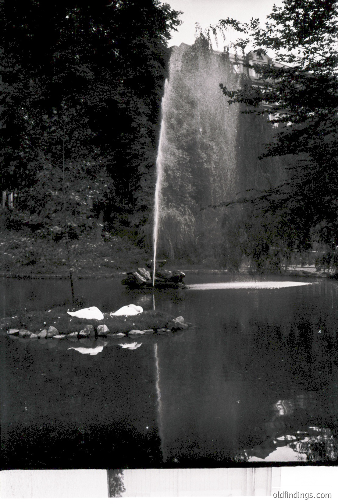 Vintage photograph