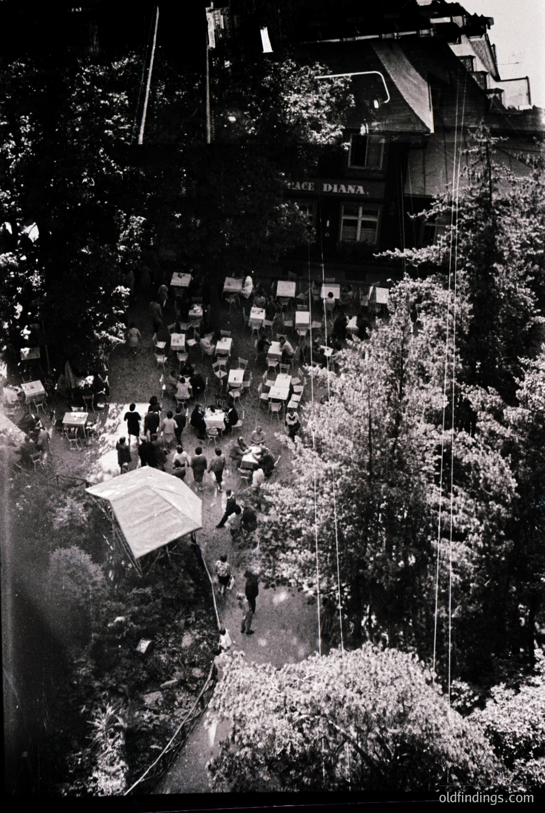 Vintage photograph