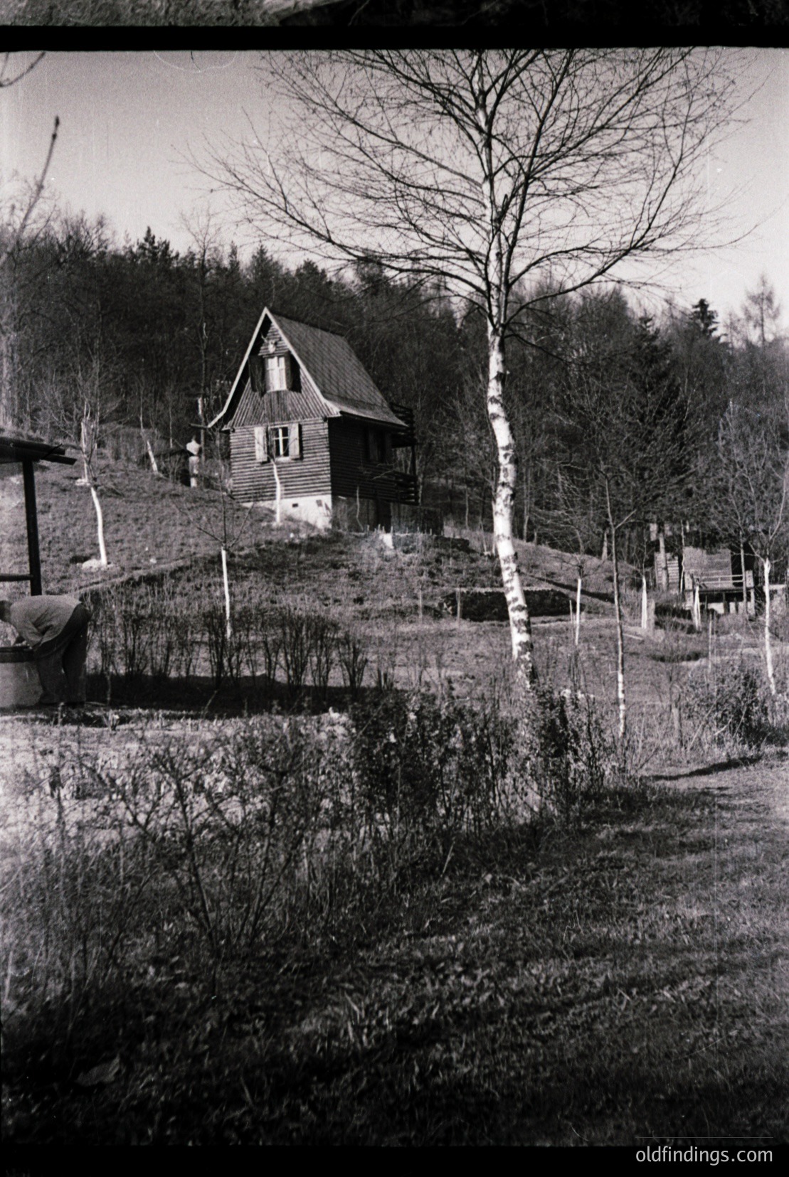 Vintage photograph