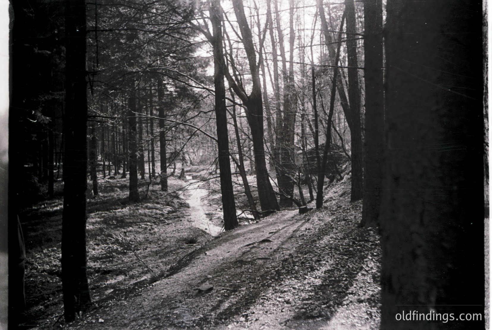 Vintage photograph