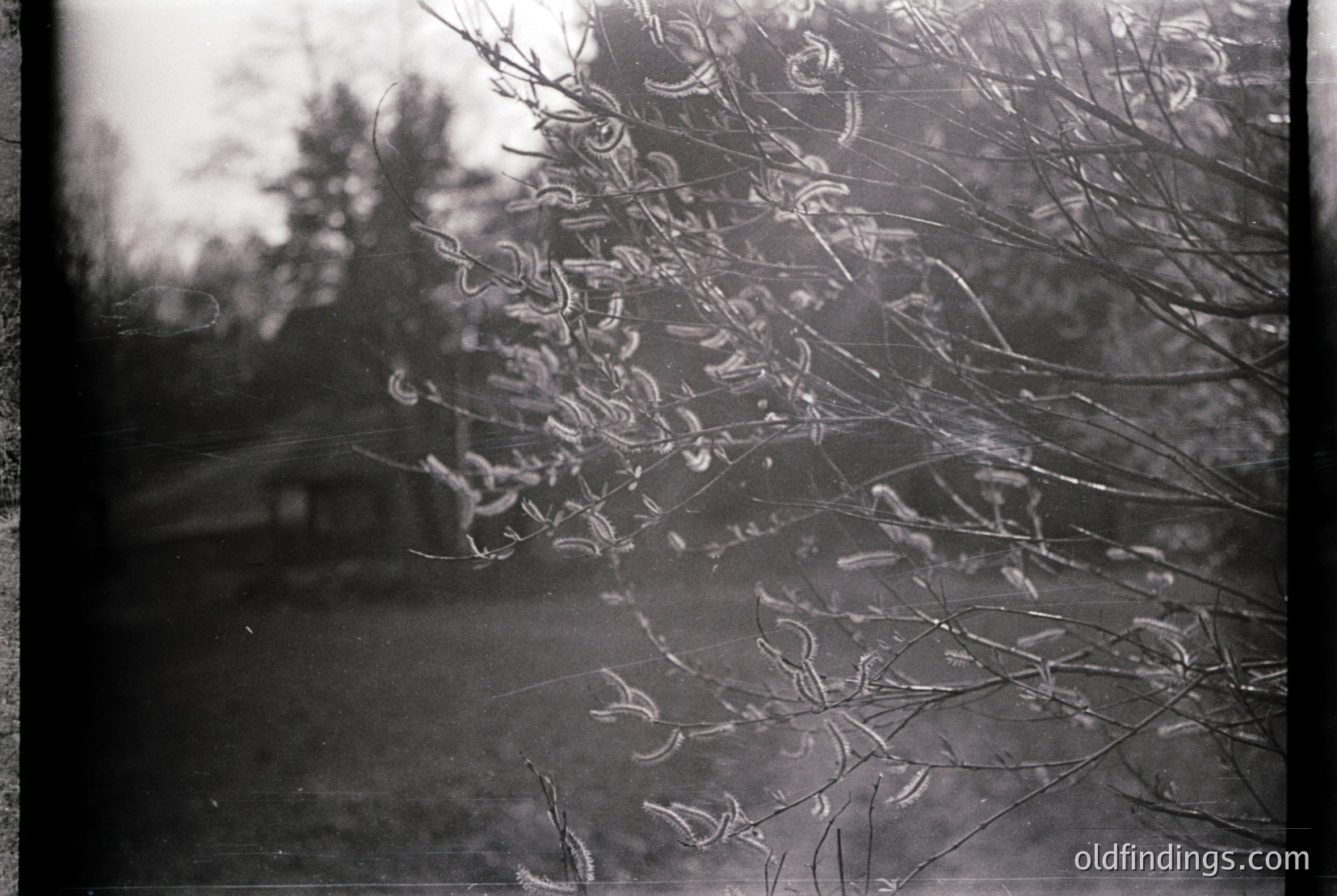 Vintage photograph