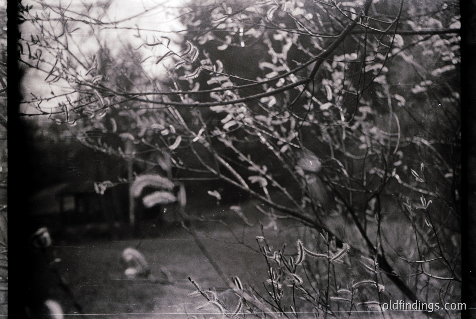 Vintage photograph