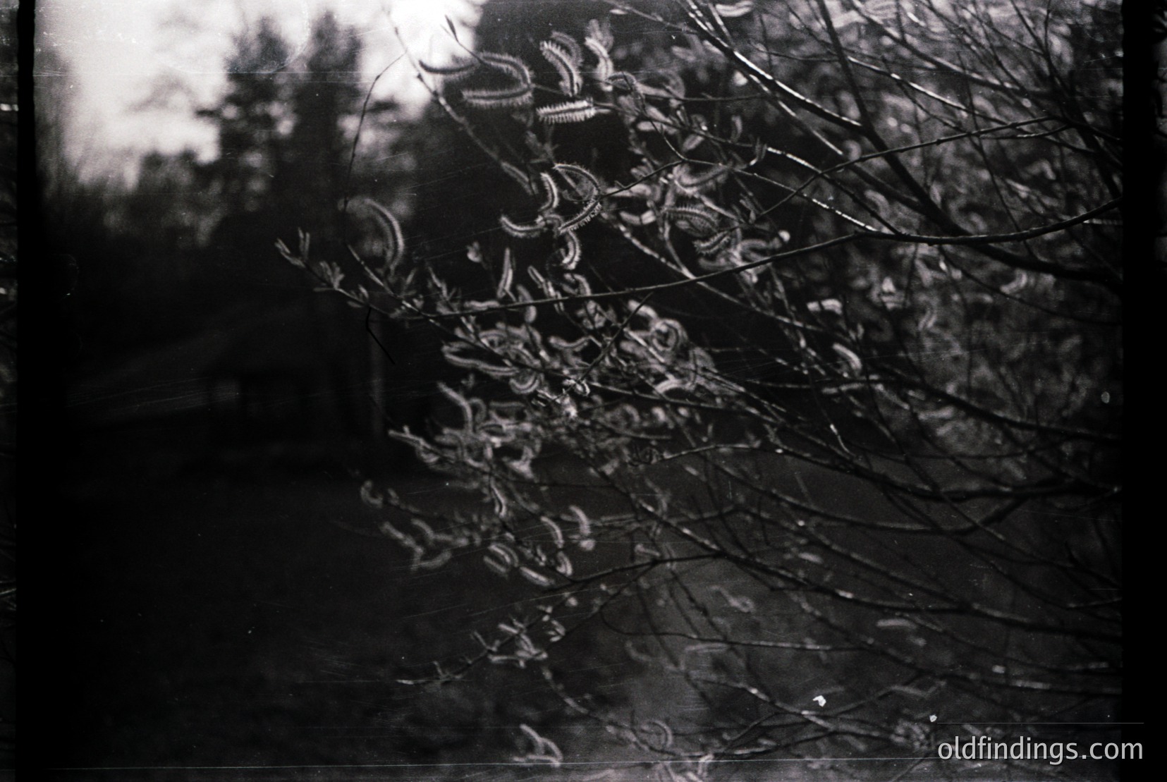 Vintage photograph