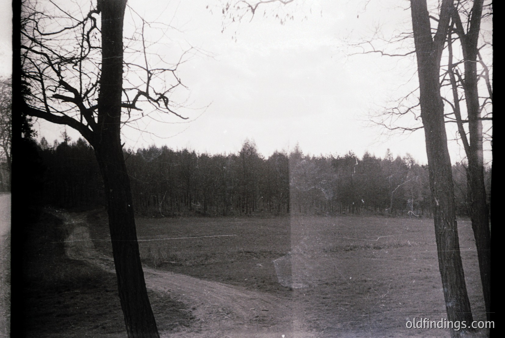 Vintage photograph