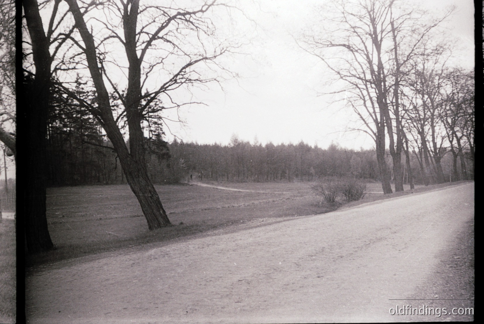 Vintage photograph