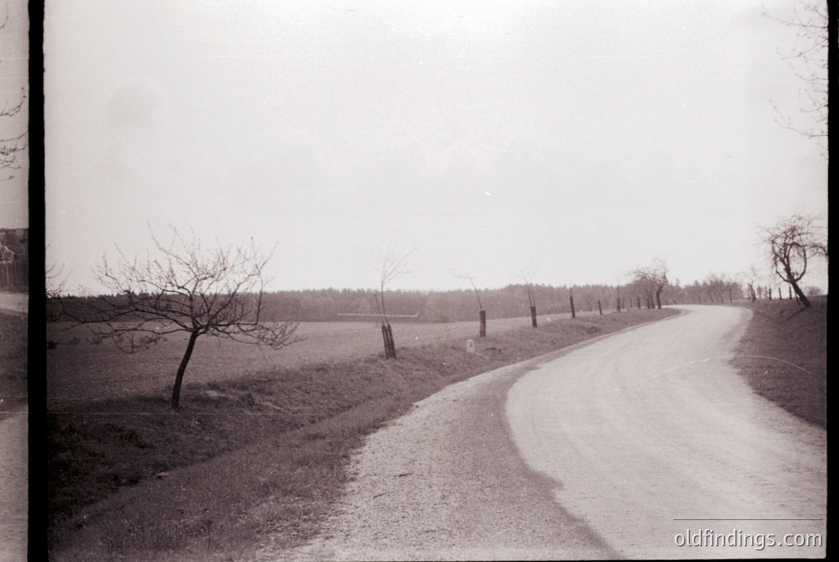 Vintage photograph