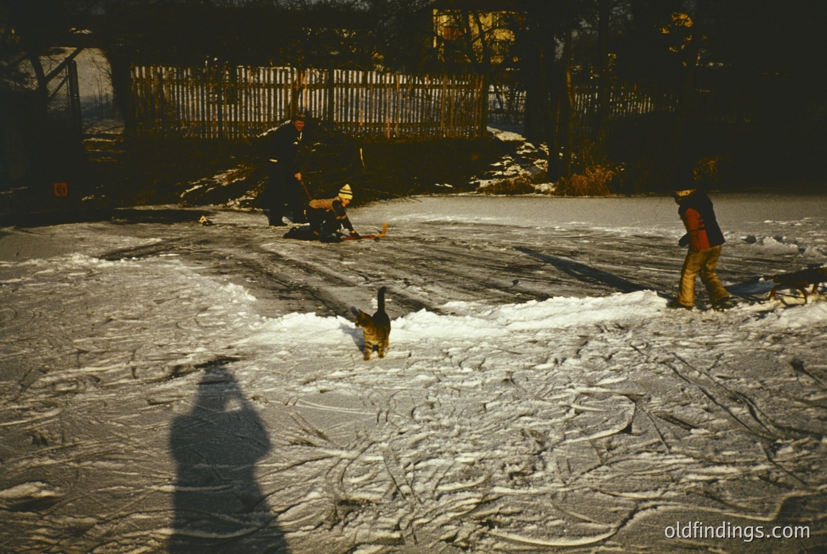 Vintage photograph