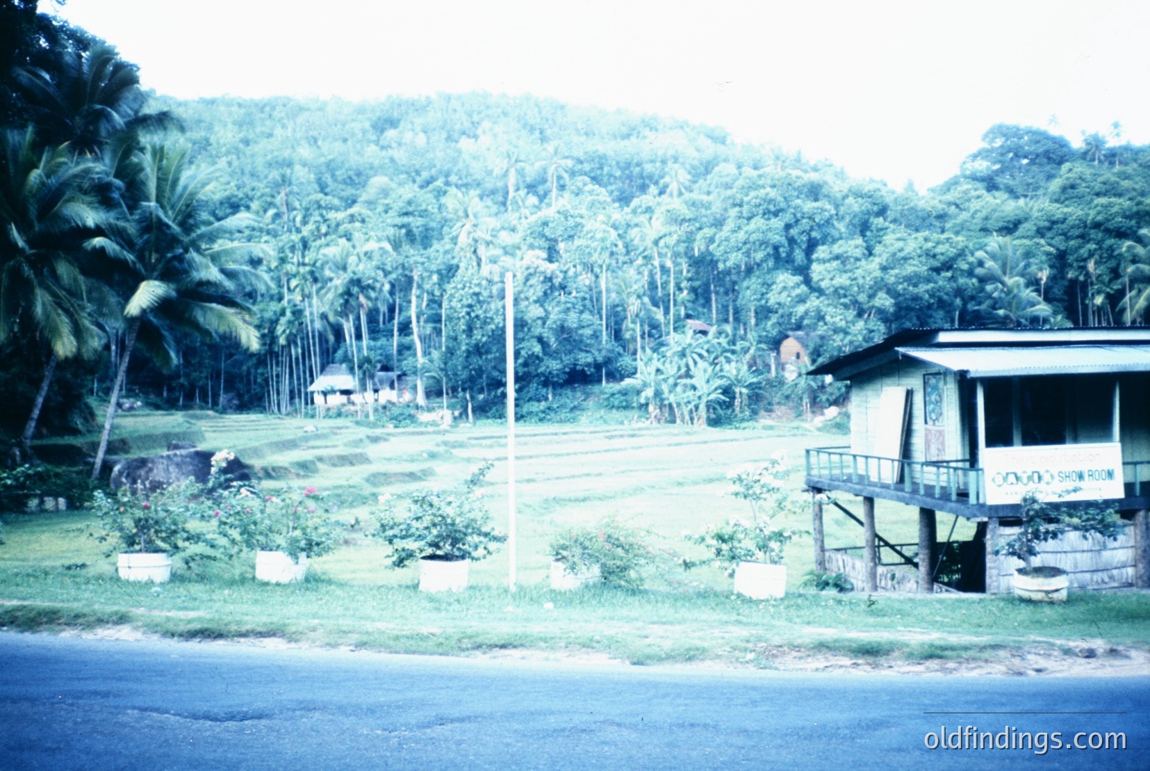 Vintage photograph
