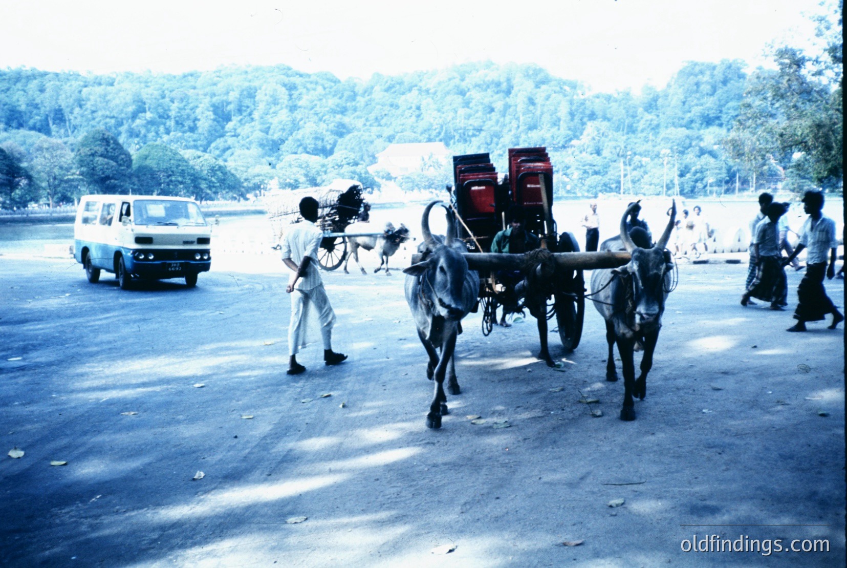 Vintage photograph