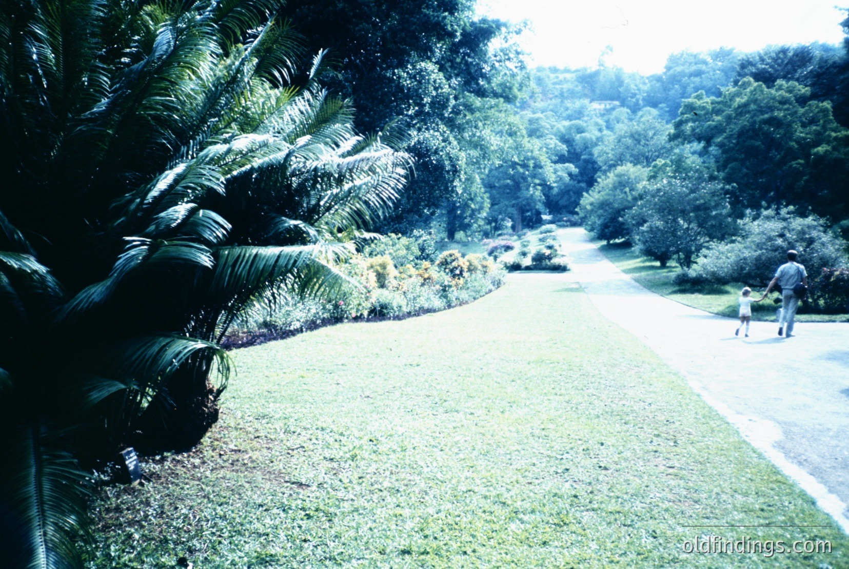 Vintage photograph