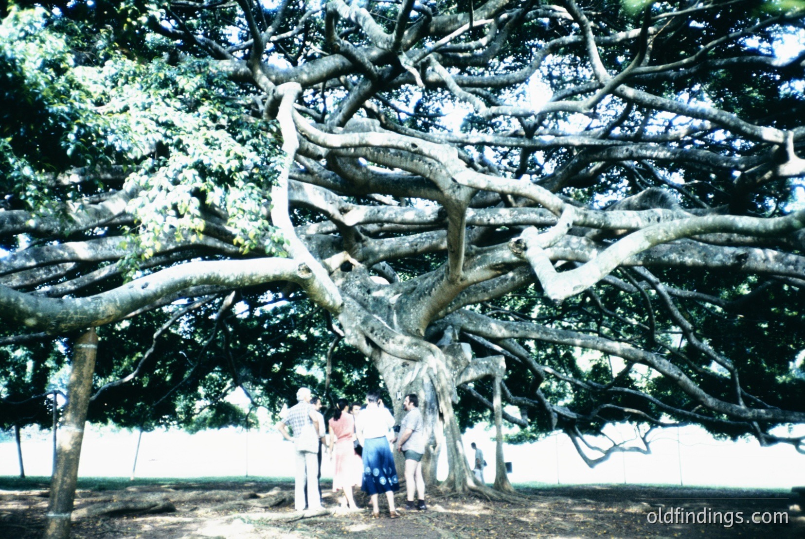 Vintage photograph