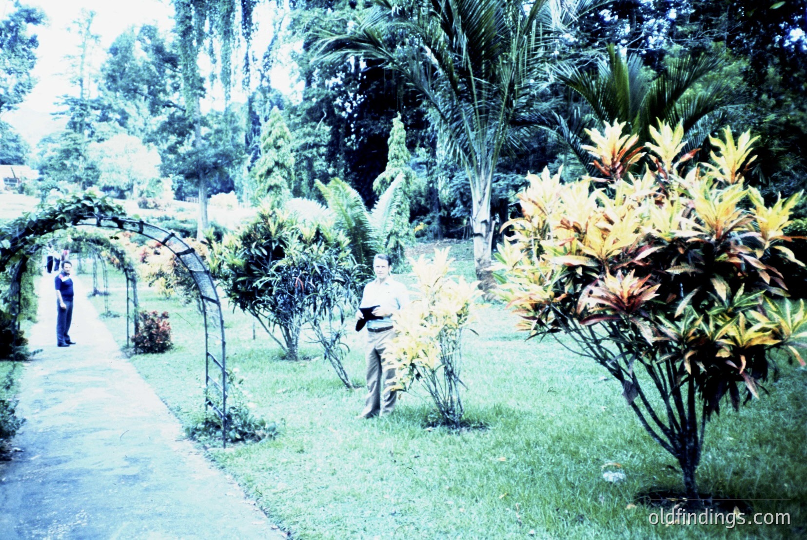 Vintage photograph