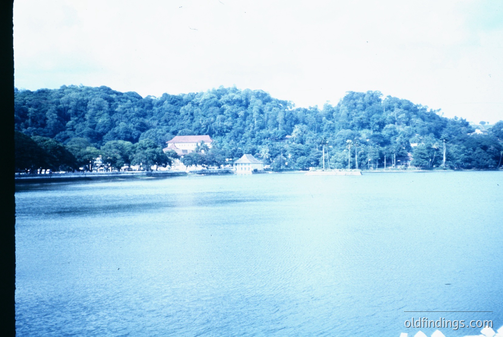 Vintage photograph