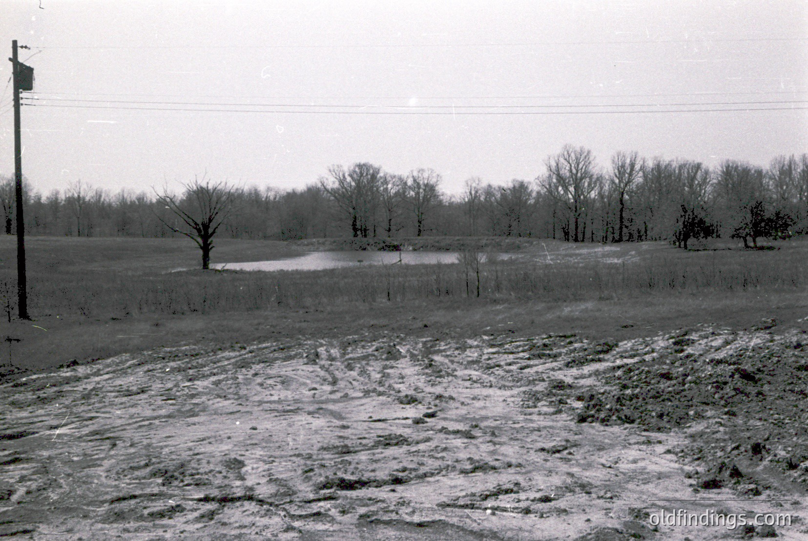 Vintage photograph