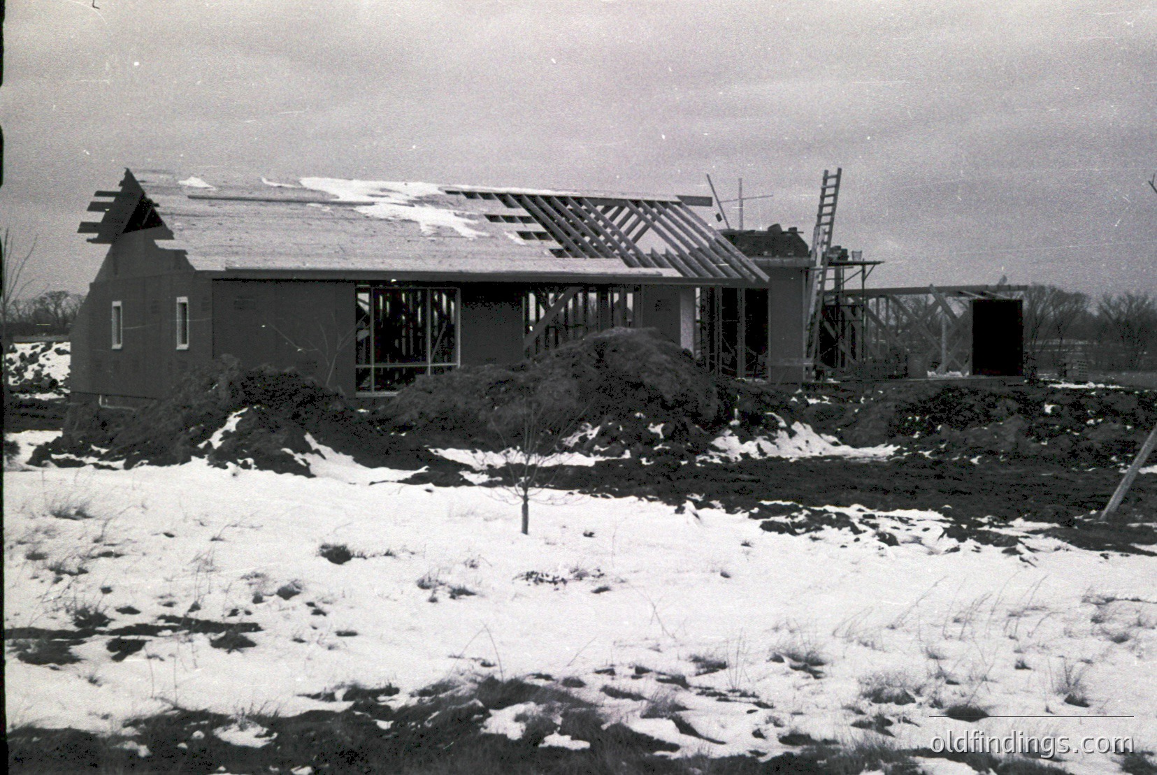 Vintage photograph