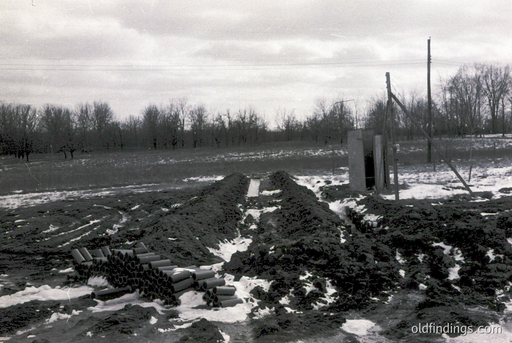 Vintage photograph