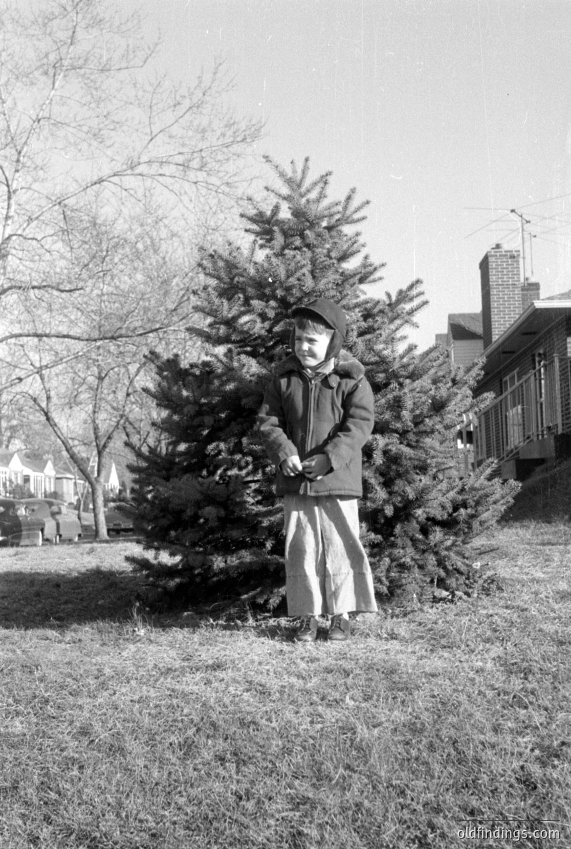 Vintage photograph