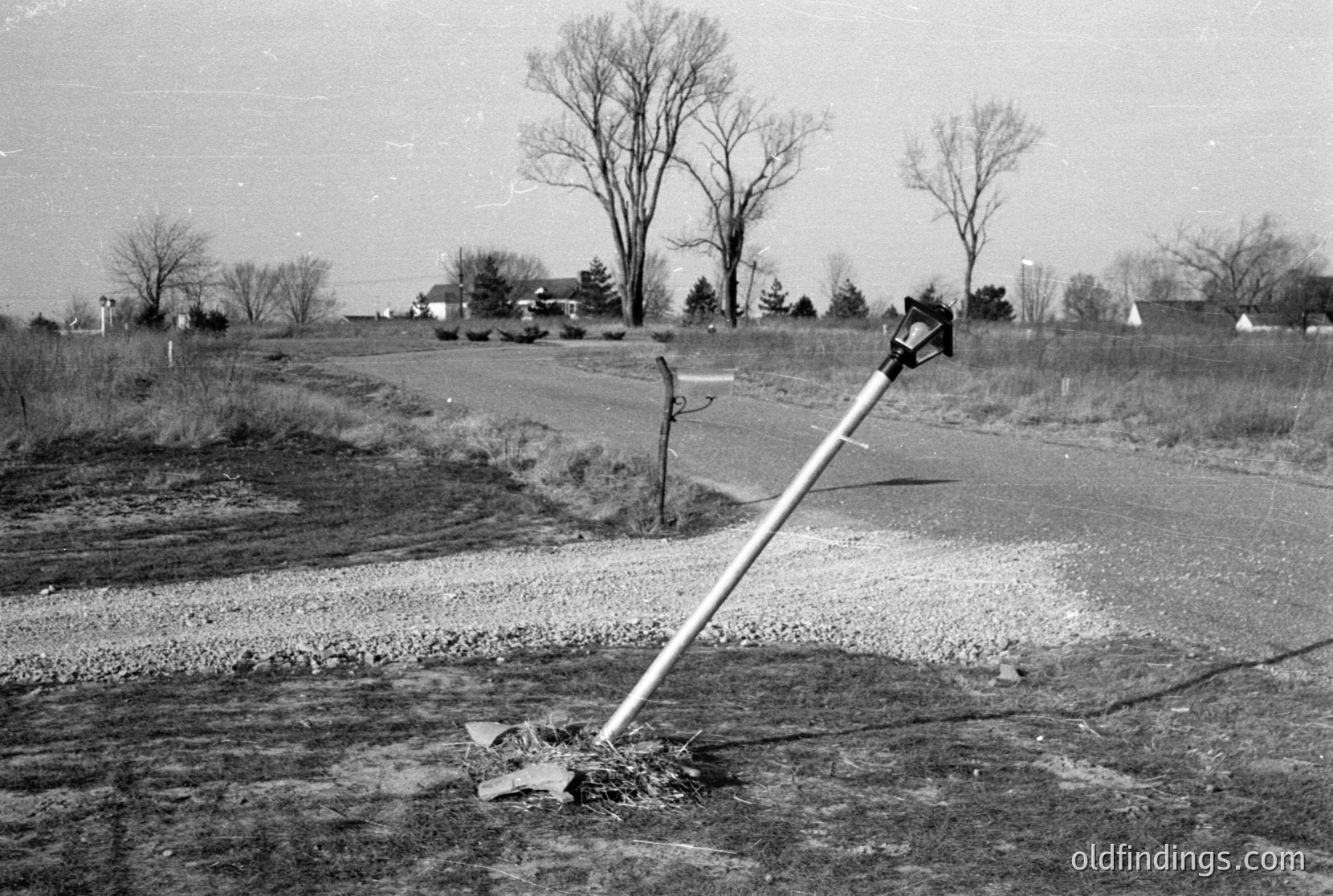 Vintage photograph