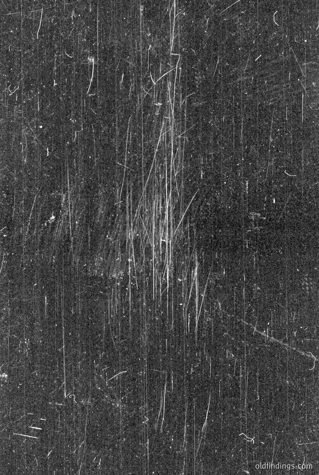 Vintage photograph