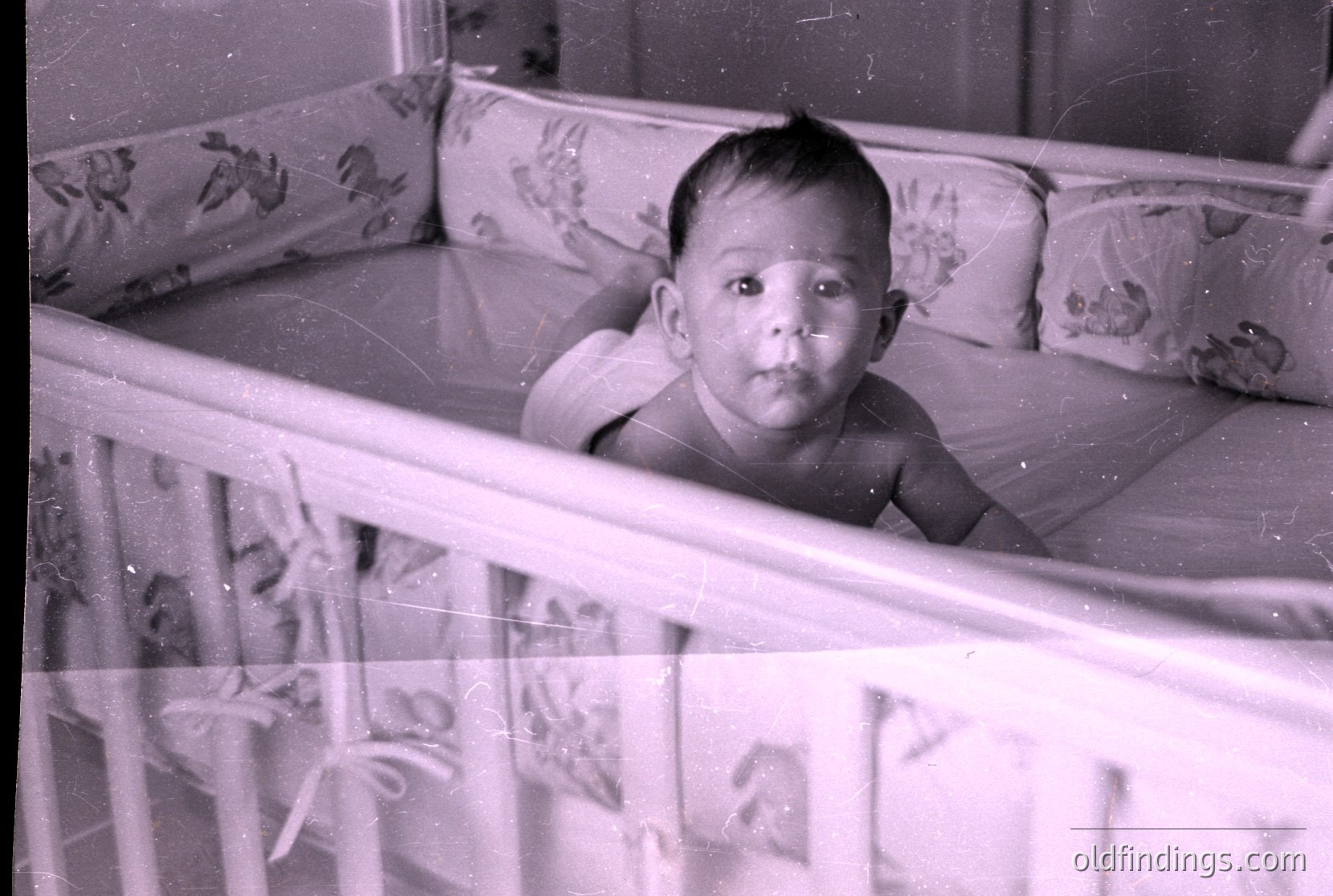 Vintage photograph
