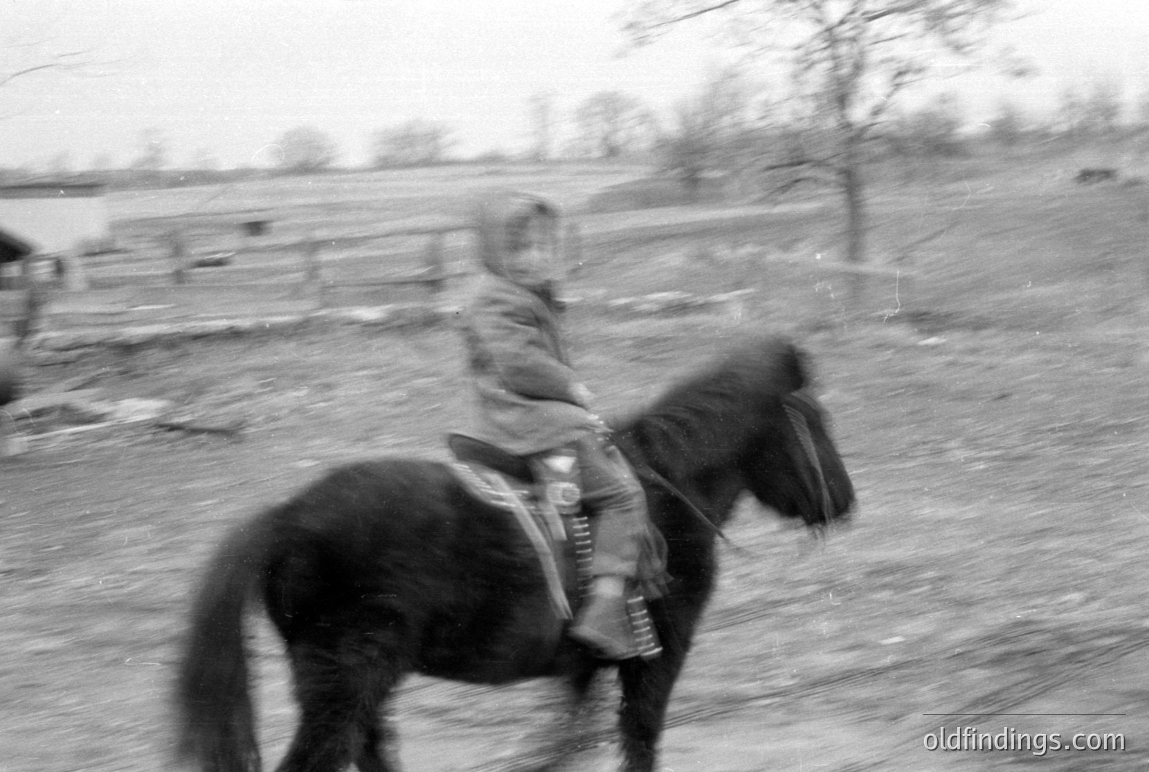 Vintage photograph