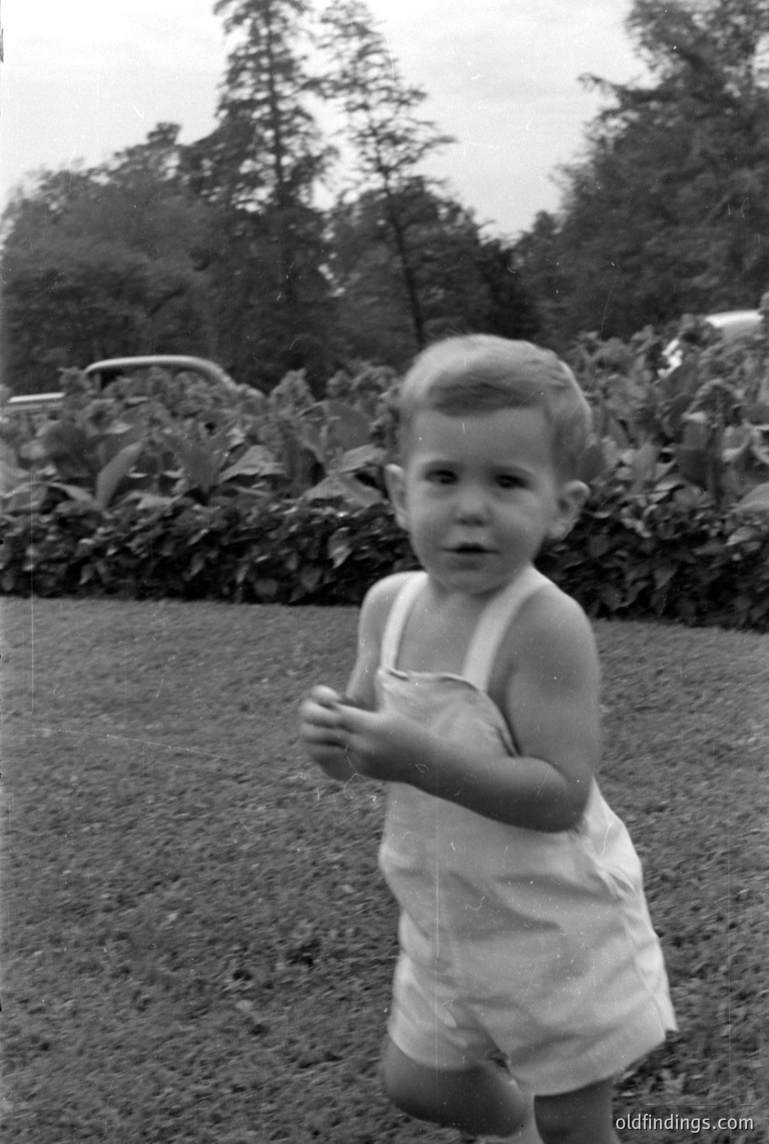 Vintage photograph