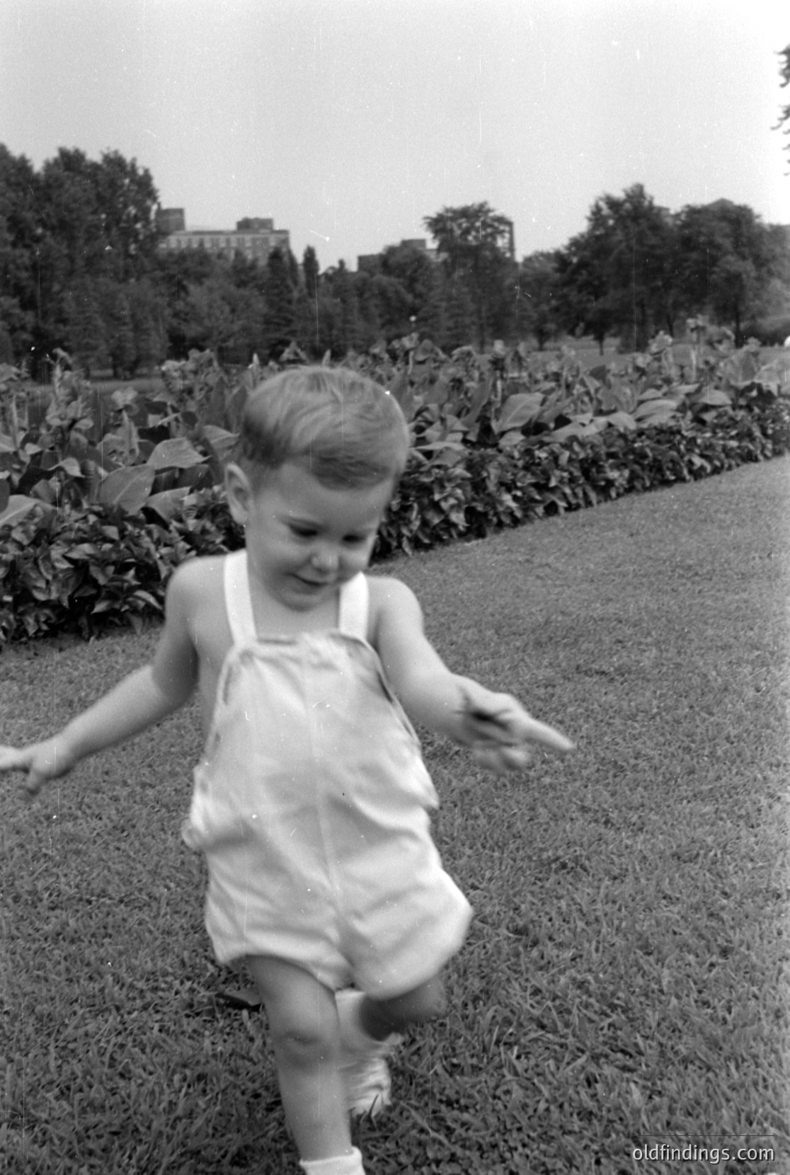 Vintage photograph